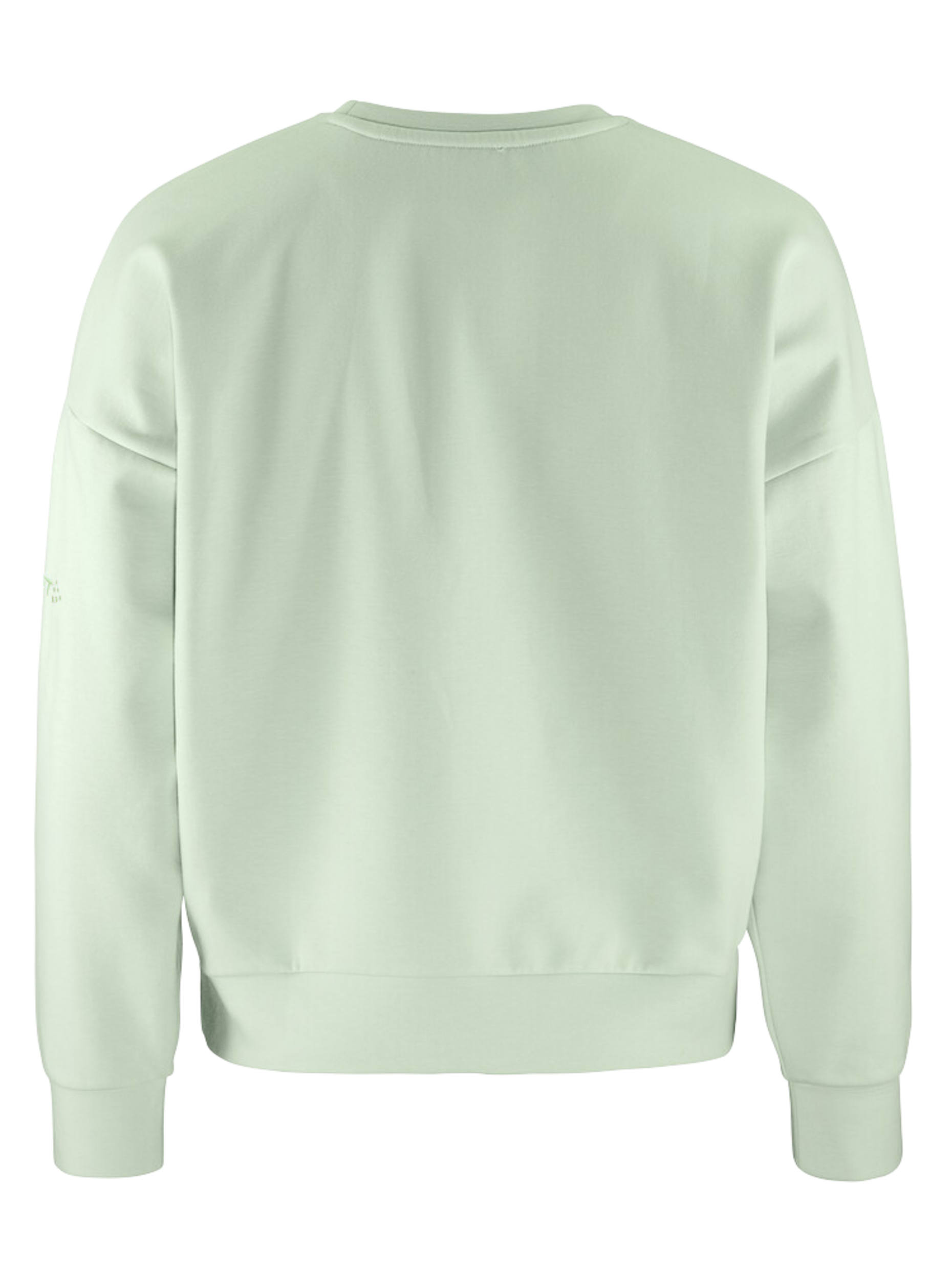 Mint green sweatshirt showcasing a back view.